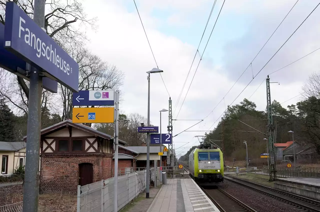 29 Fahrten am Tag zu Tesla und zurück: Bahnshuttle kann gebaut werden