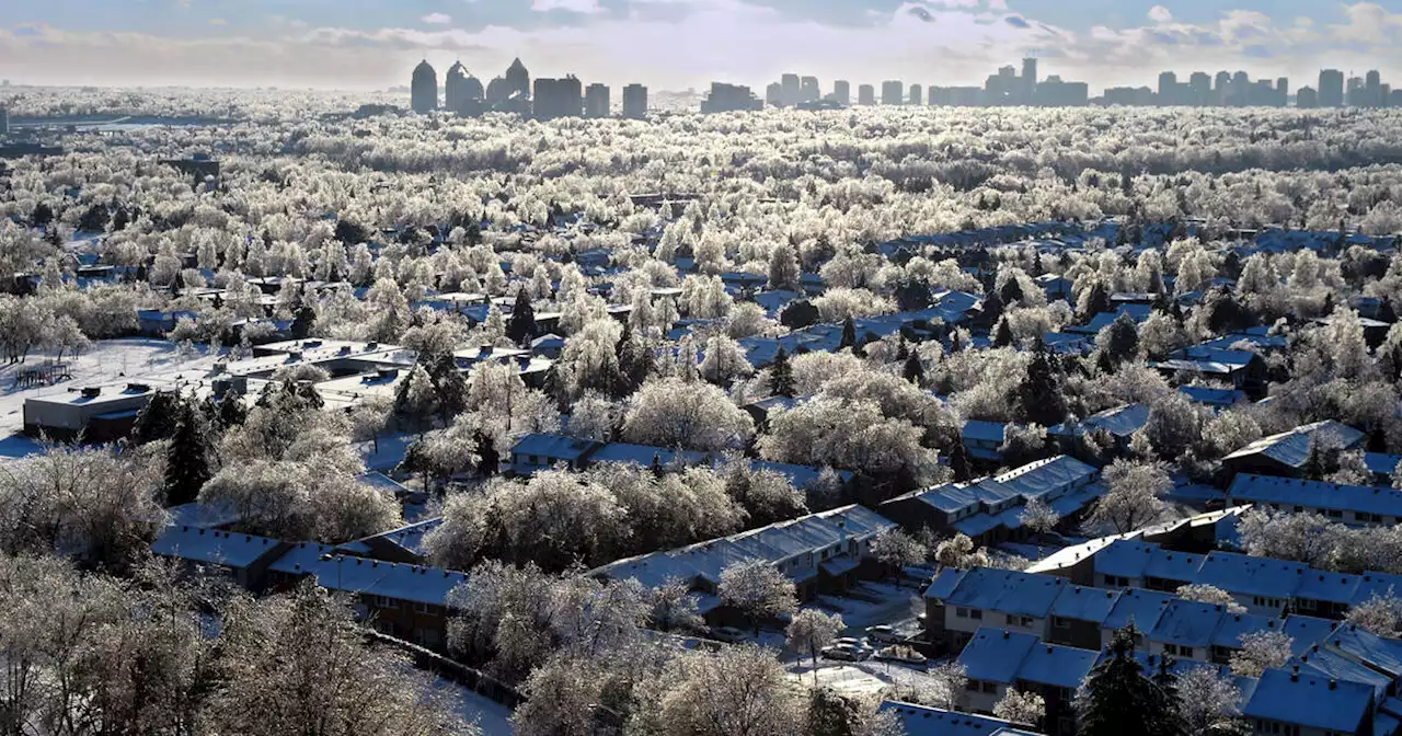 Toronto could soon be encased in ice from freezing rain after a brief heat spell