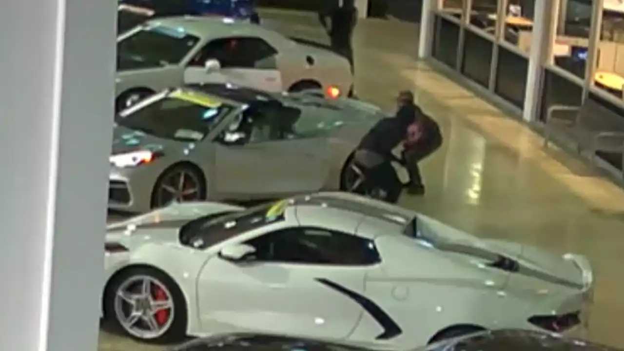 Thieves Make Off With Corvette, Challenger, And Tahoe From North Carolina Dealer | Carscoops