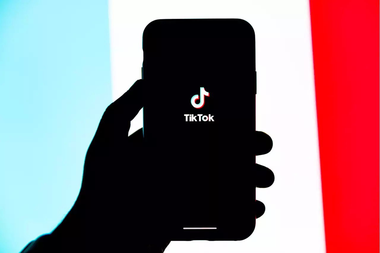 Twitter, Meta, TikTok... Va-t-il falloir présenter sa carte d'identité pour accéder aux réseaux sociaux ?