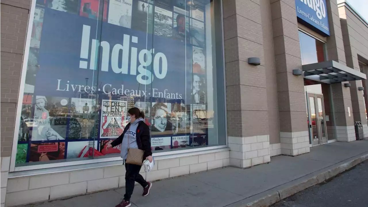 Indigo risks reputational damage as outage drags on: experts