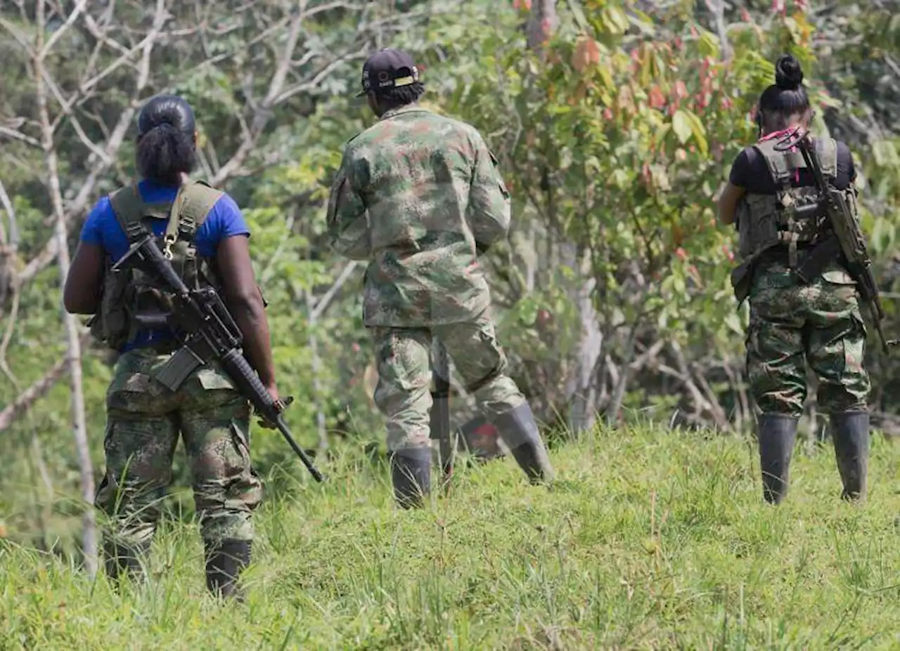 Advierten supuesta alianza entre paramilitares y delincuencia común en Tolima