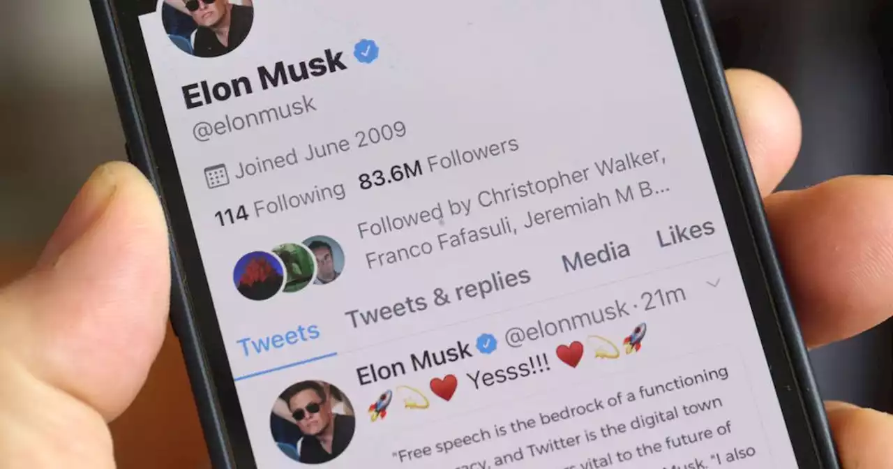 Elon Musk “arregla” el algoritmo de Twitter para que sus publicaciones te aparezcan aunque no lo sigas