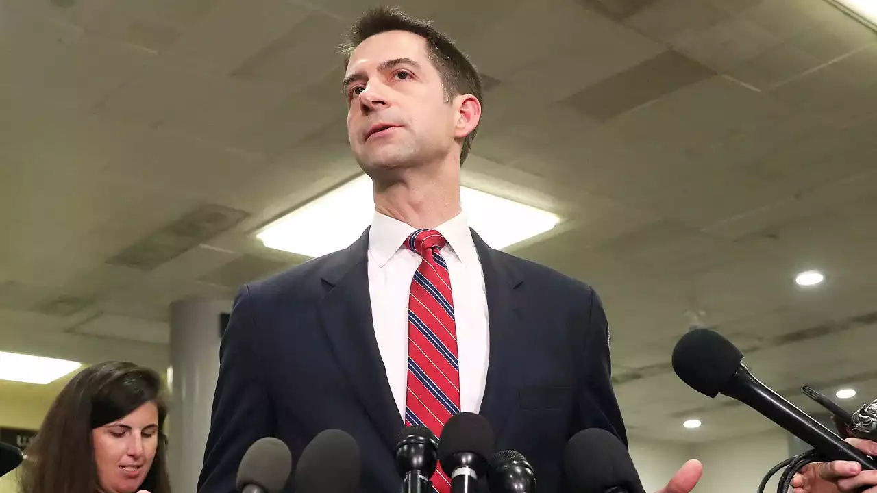 Cotton slams VP Harris for 'refusing to acknowledge' scale of China threat