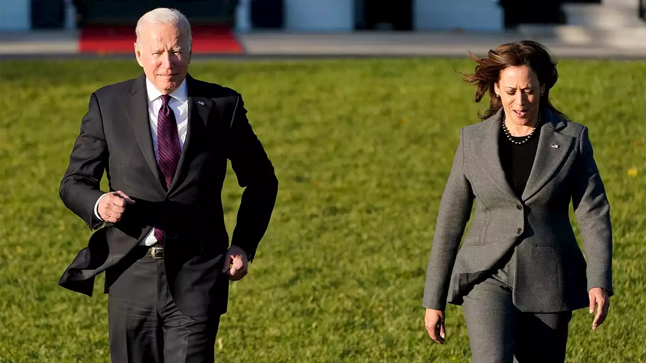 Democrats afraid to say publicly that Biden too old to seek re-election, Harris is not an option: report