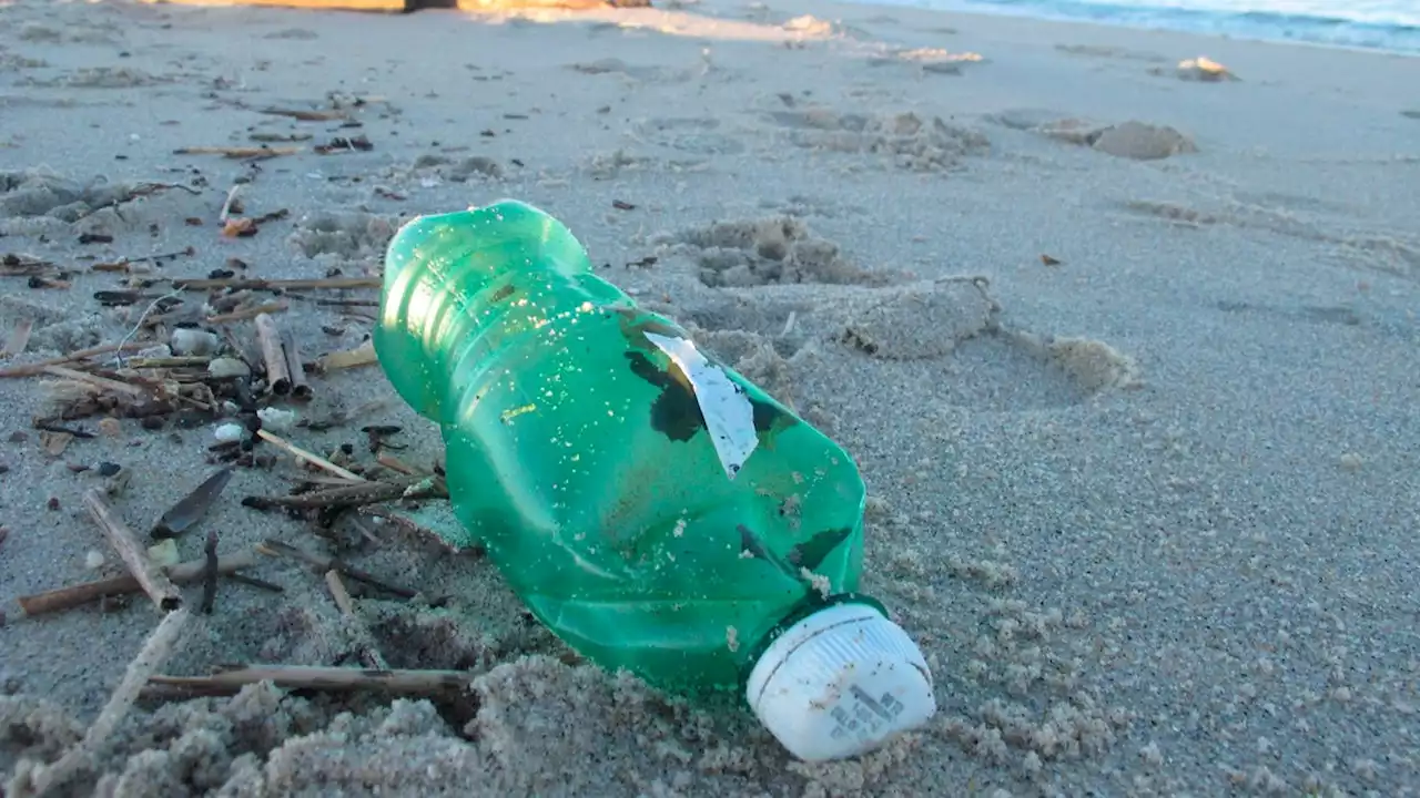 Bacteria and the Sun Can Destroy Ocean Plastic—but Is It the Fix We Need?