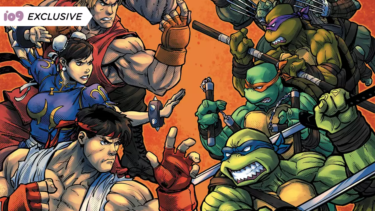 The TMNT Are Going Up Against Street Fighter's Heroes in a New Comic