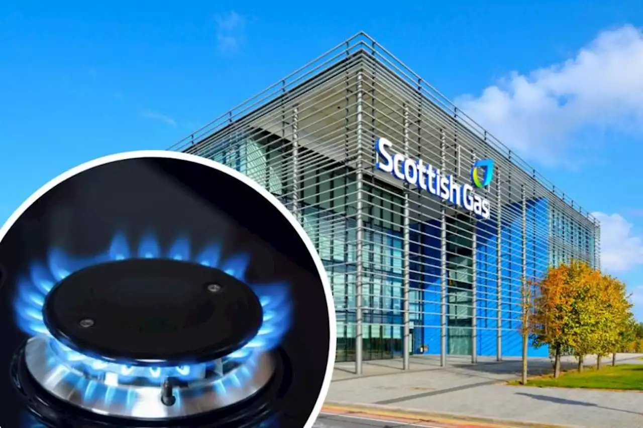 Scottish Gas owner rakes in 'monster profits' during cost of living crisis