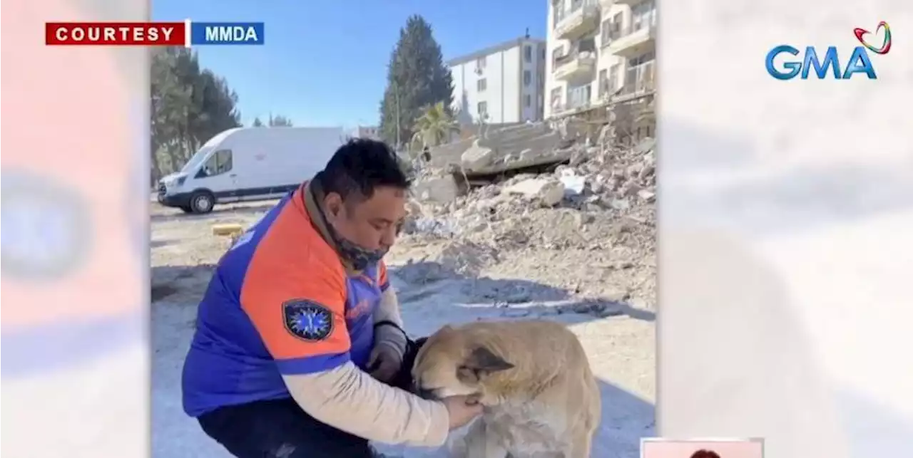 Filipino rescuers feed, tend to animals who lost their humans in Turkey quake