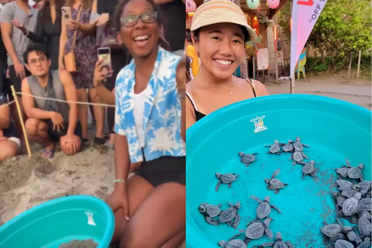 Pro surfers Natsumi, Dominique join release of baby sea turtles in La Union