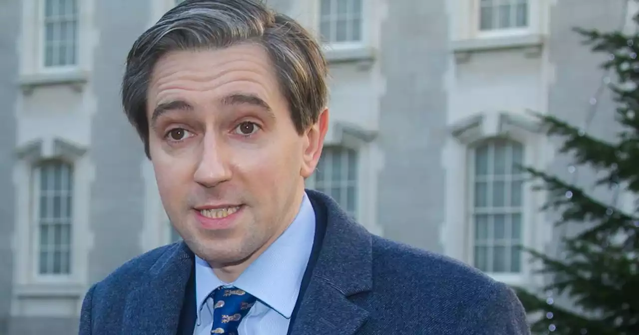 ‘Direct link’ between snorting cocaine and ‘murder’, Simon Harris tells Dáil