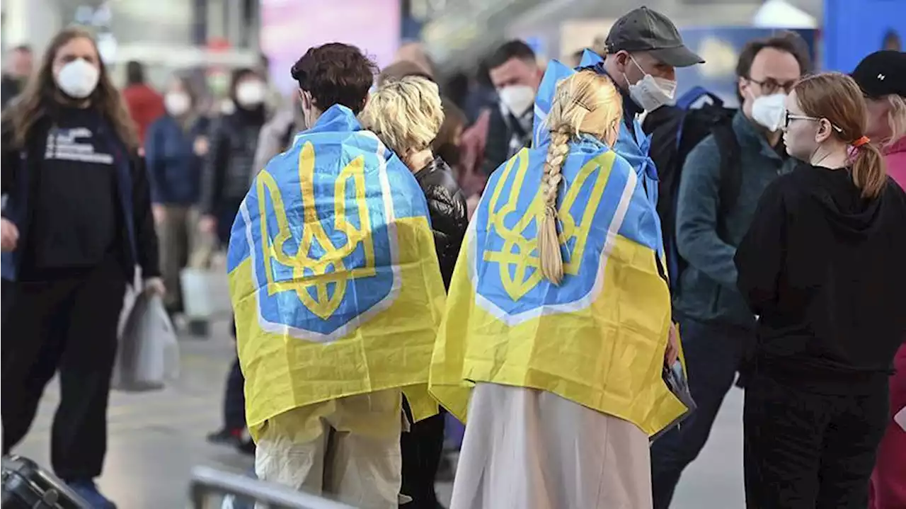 В Европу прибыли более 8 млн украинских беженцев с начала СВО