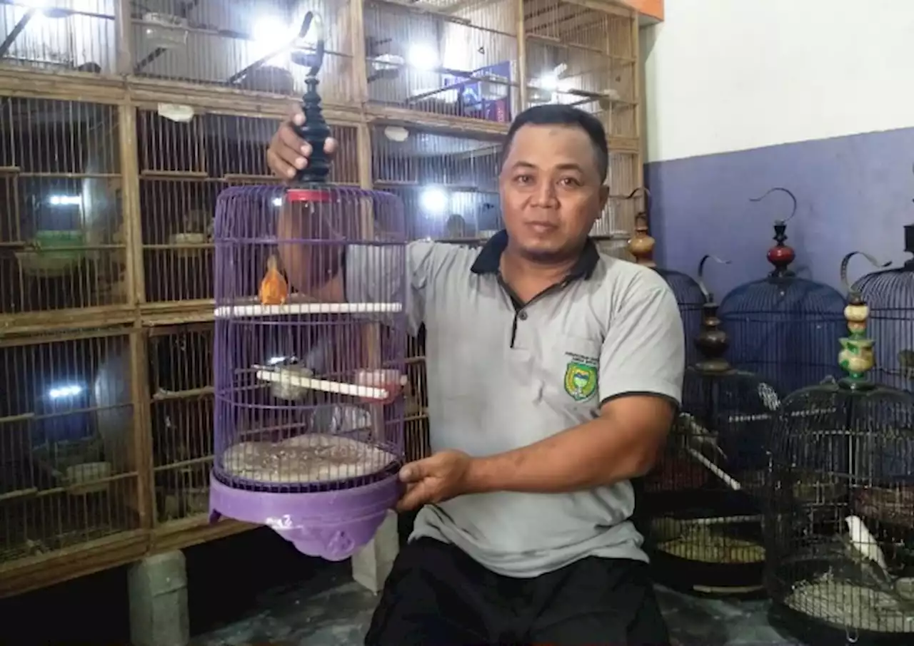 Kikin Yosefa Jadikan Burung Kenari Ladang Rezeki