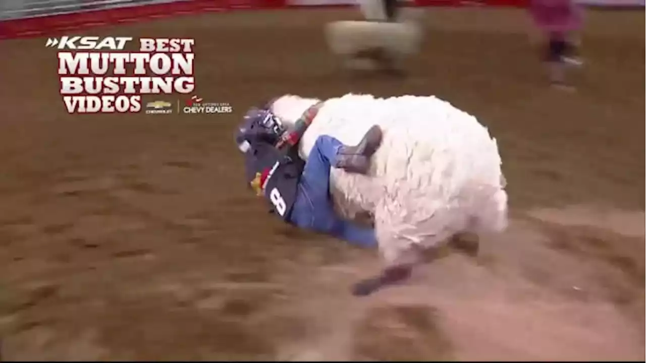 Child hangs on for dear life during Mutton Busting at Stock Show & Rodeo