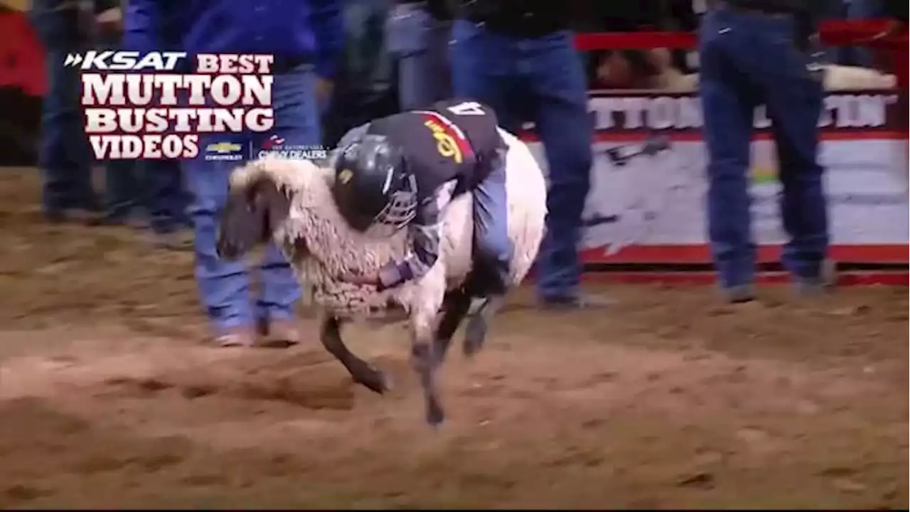 Child takes a tumble during Mutton Busting at San Antonio Stock Show & Rodeo