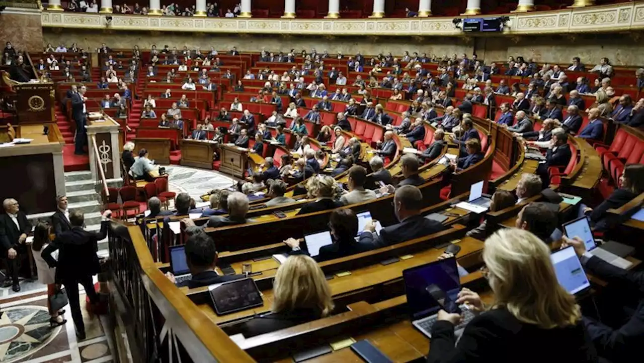 Réforme des retraites : quatre députés de la Haute-Garonne racontent la bataille de l'Assemblée