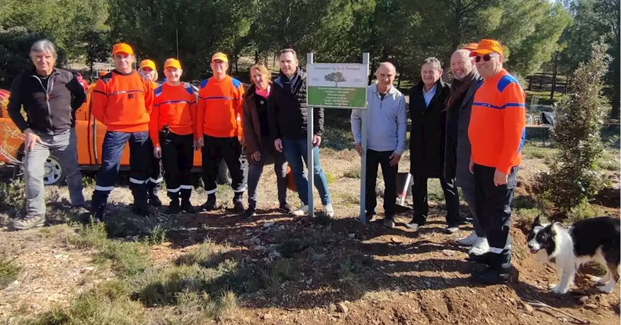 La Fare-les-Oliviers : pour chaque naissance, un arbre est planté