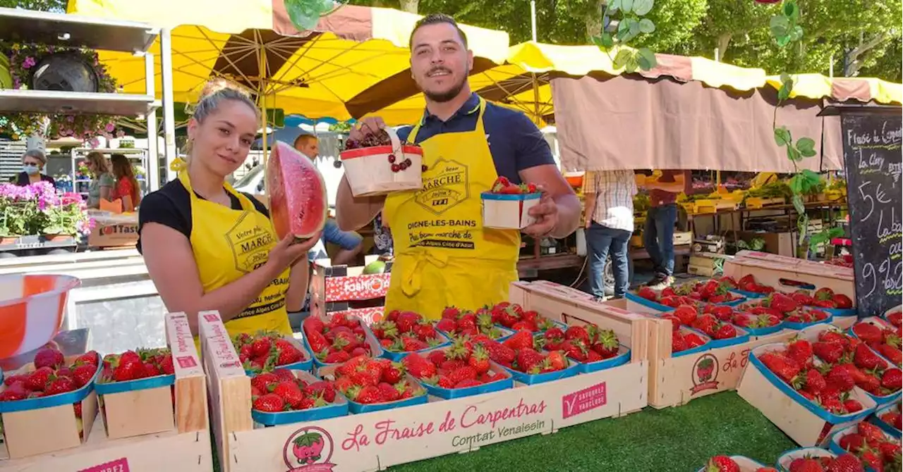 Opération 'le plus beau marché' : à Digne-les-Bains, après sa 7e place en 2022, la ville vise le Top 5