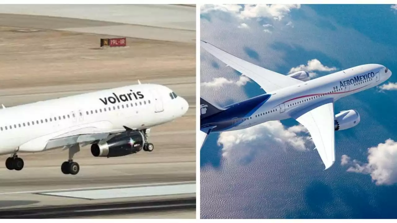 Aeroméxico y Volaris responderán a clientes de Aeromar por cese de la aerolínea; aquí te decimos cómo solicitarlo