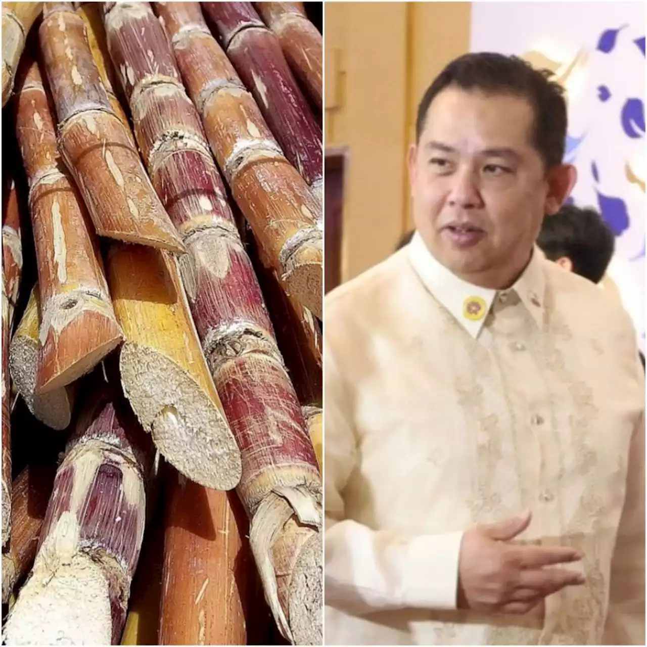 Distressed Batangas sugarcane farmers get assistance from Romualdez