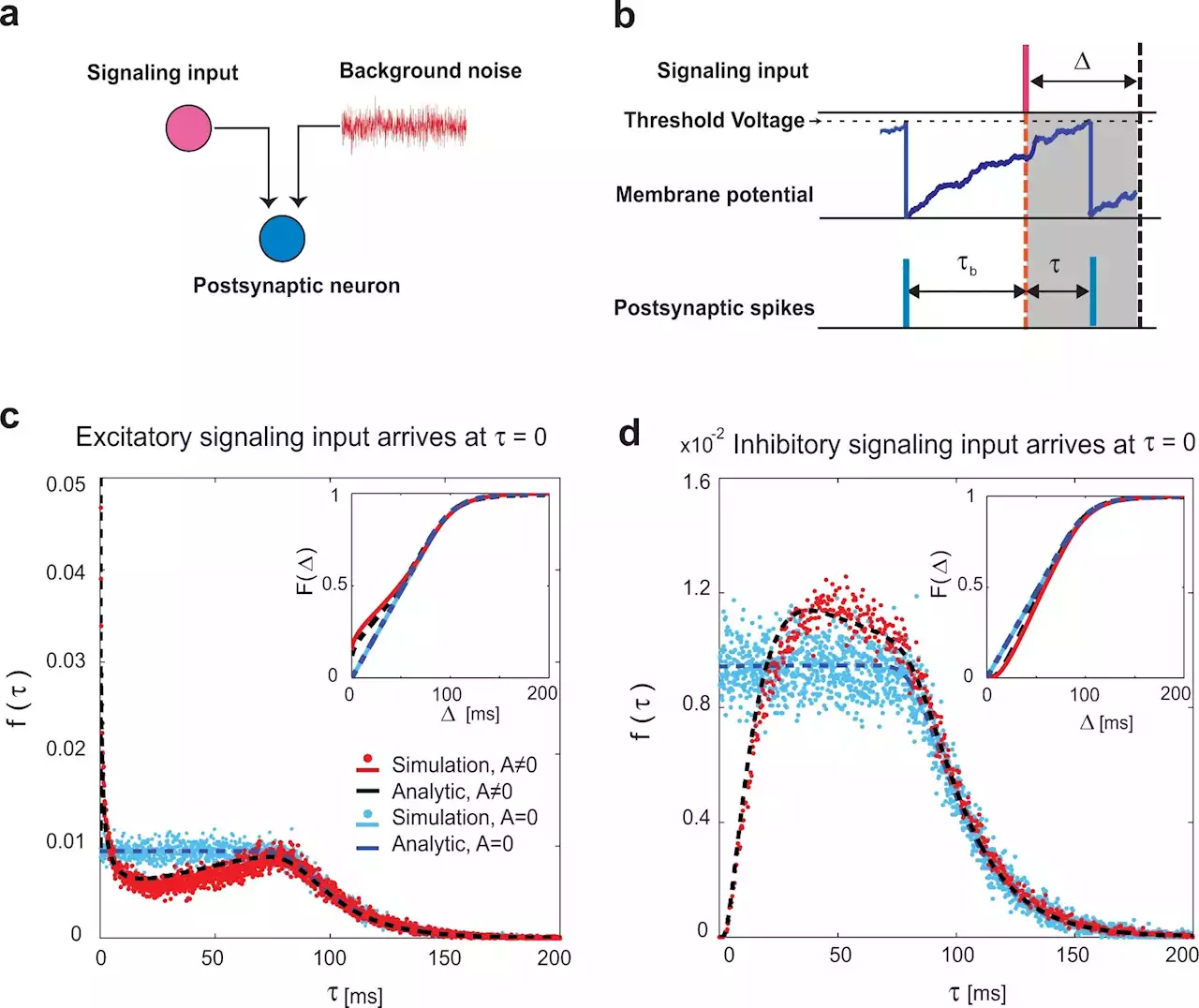 Mapping the neural activity in mammalian brains