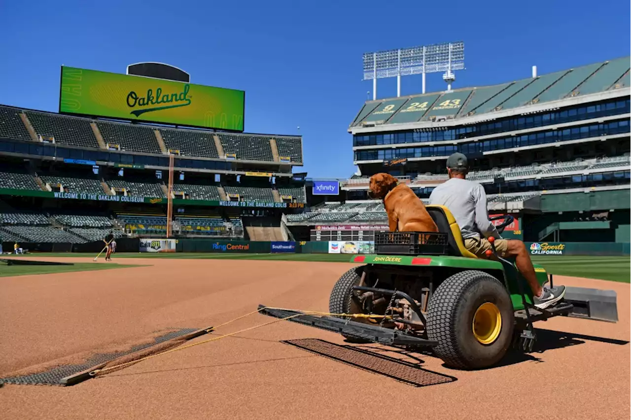 MLB’s Manfred says A’s owner is focusing lately on new home, and it’s not in Oakland