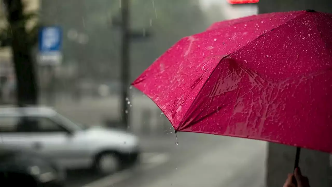 Météo : 25 jours consécutifs sans pluie cet hiver, la France bat tous les records depuis 1989