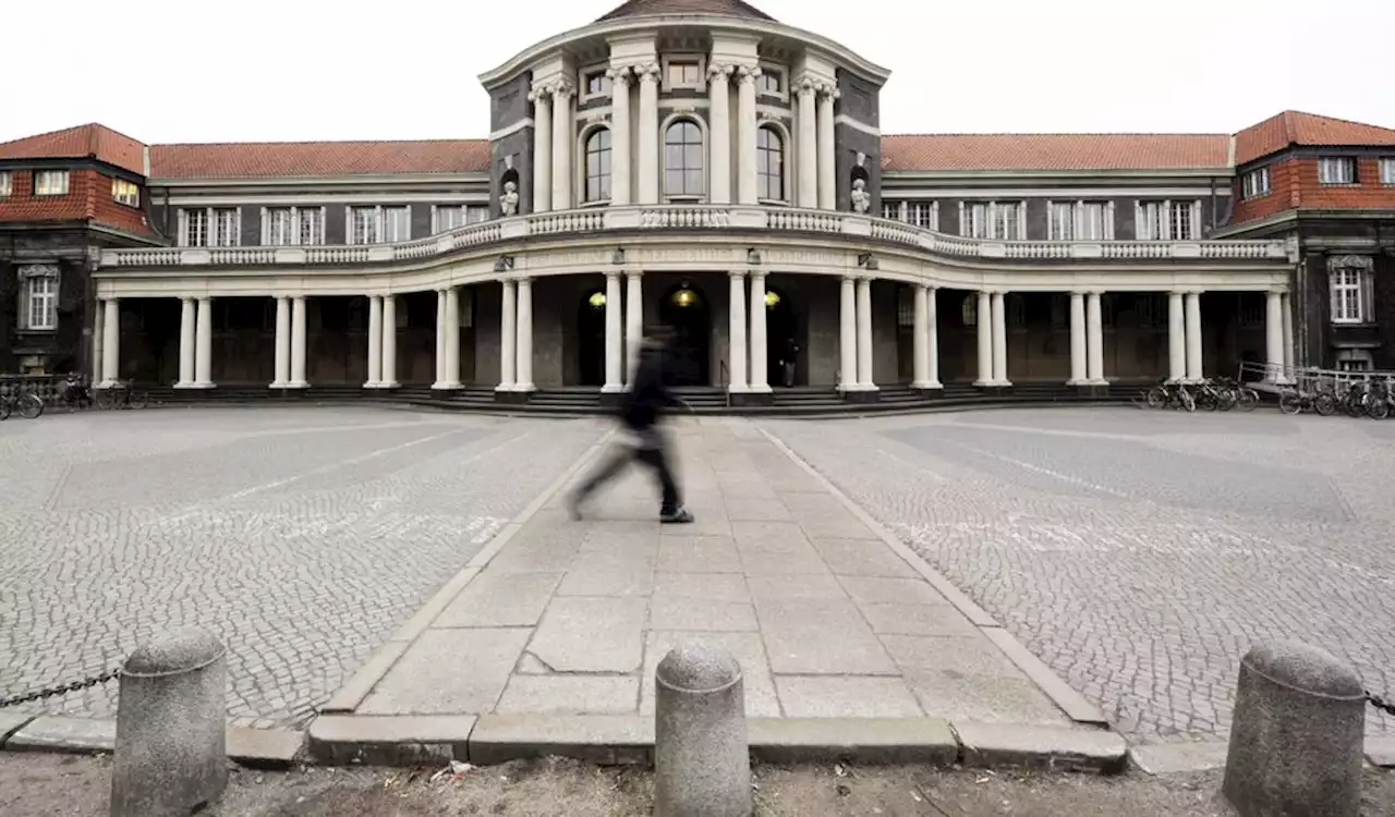 Studenten der Uni Hamburg beklagen: Wer nicht gendert, muss mit Punktabzug rechnen (M+)