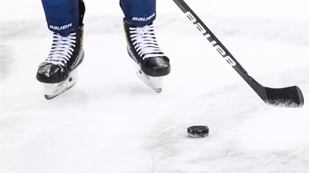 Eisbären Berlin siegen mit 6:4 bei Schwenninger Wild Wings