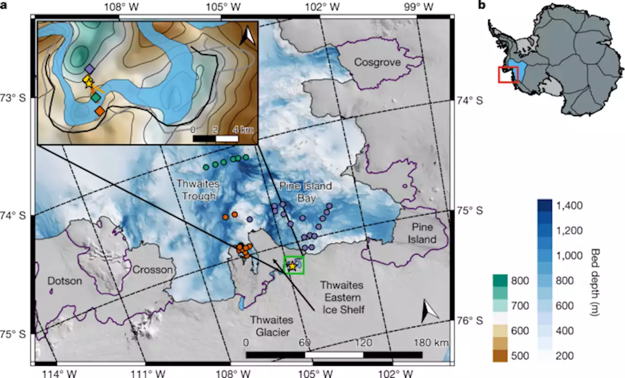 Suppressed basal melting in the eastern Thwaites Glacier grounding zone - Nature