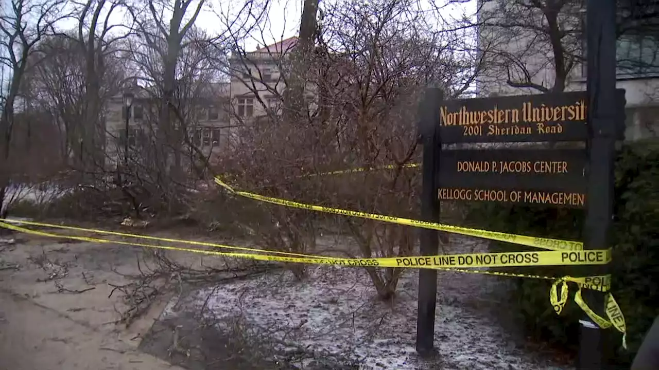 Tree Falls on Multiple People on Northwestern University's Evanston Campus; At Least 4 Injured