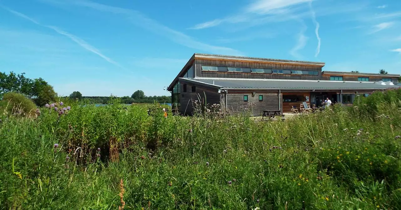 Crime 'out of control' at nature reserve, says wildlife trust