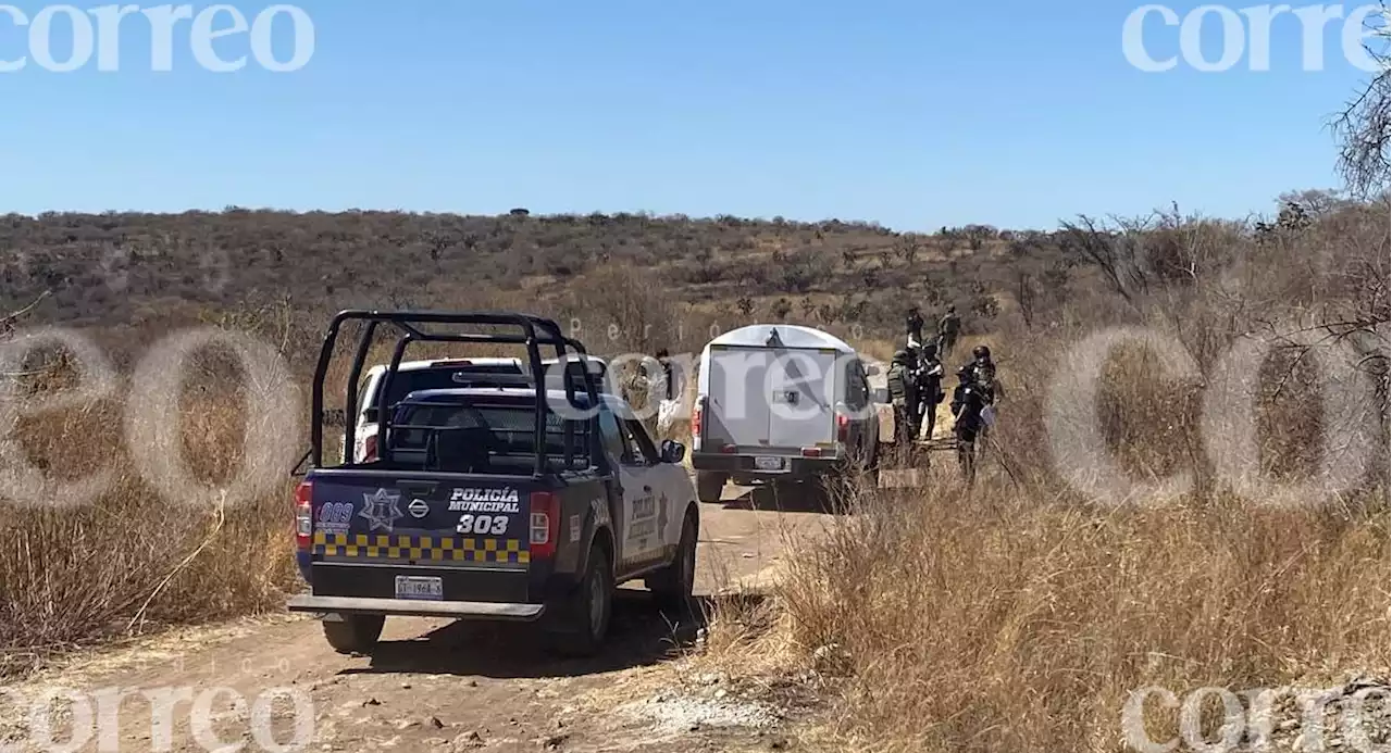 Hallan cadáveres con huellas de tortura en diferentes colonias de León