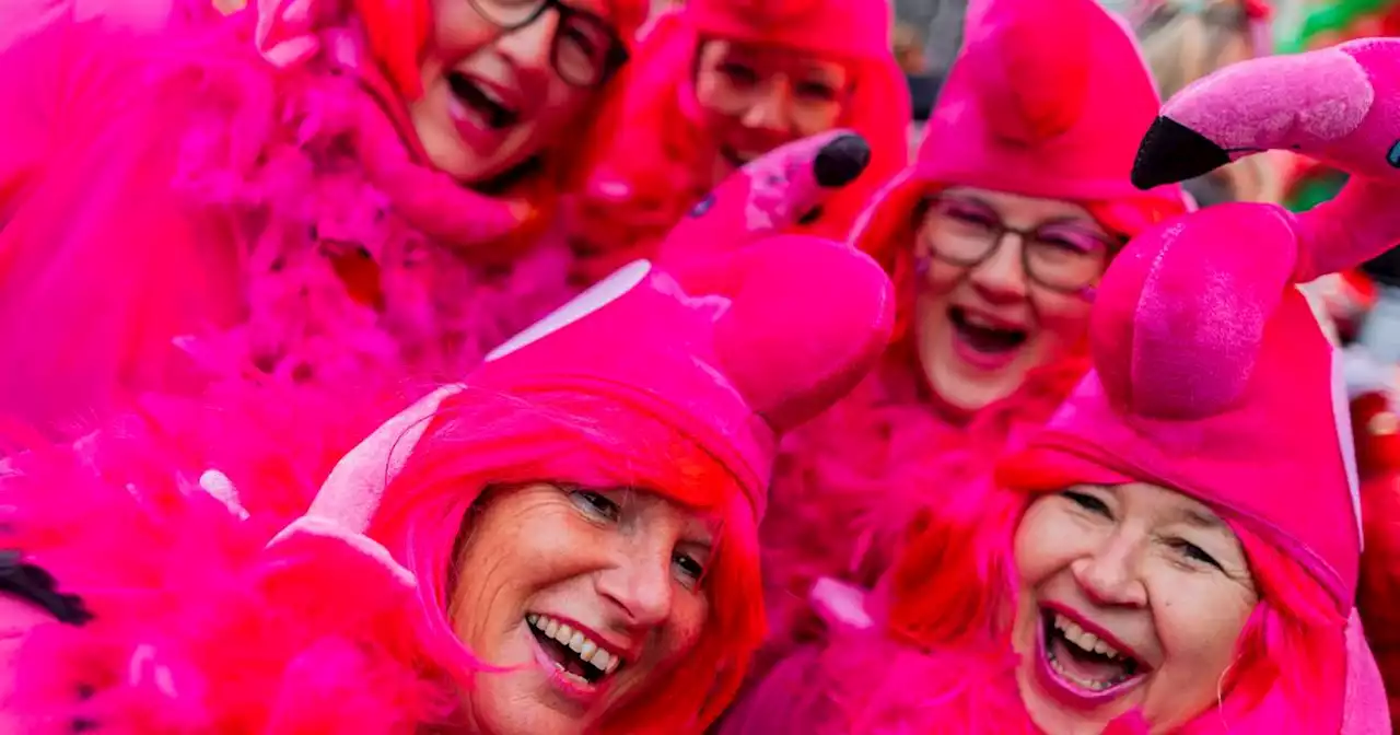 Sicherheit im Karneval: Hinweise und Hilfsangebote für Frauen an Karneval