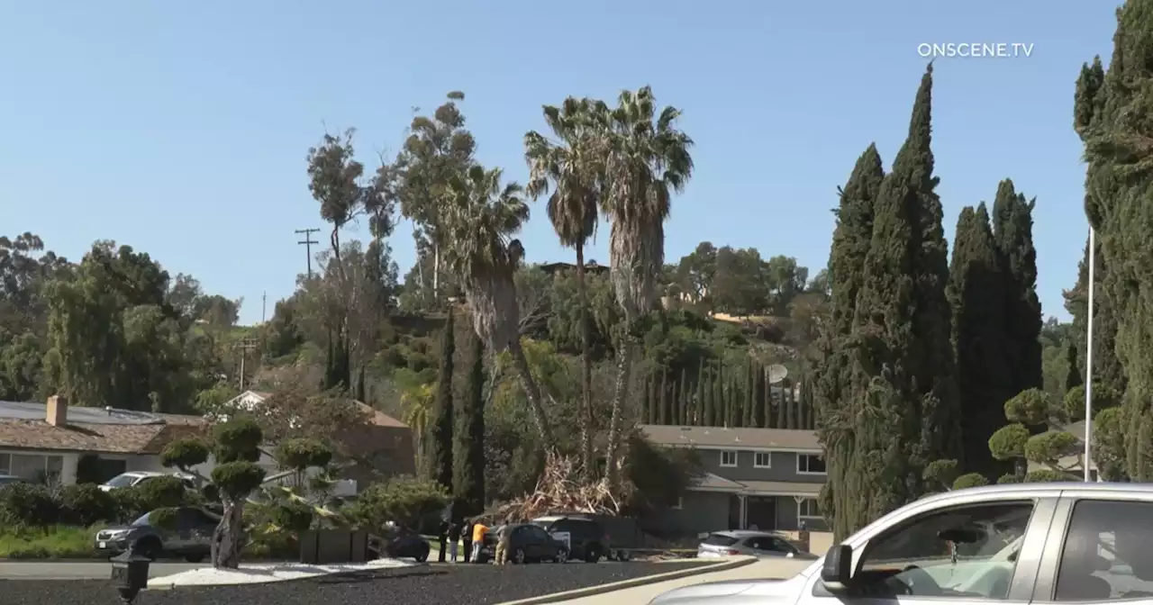 Tree trimmer pinned, killed by palm fronds in Bonita identified