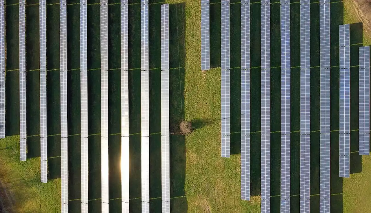 Solar farms: A ray of sunshine or a blot on the landscape?