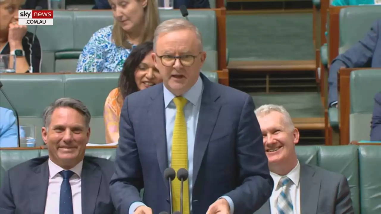 ‘Don’t be alarmed if the oxygen masks drop from above’: Albanese slams Opposition