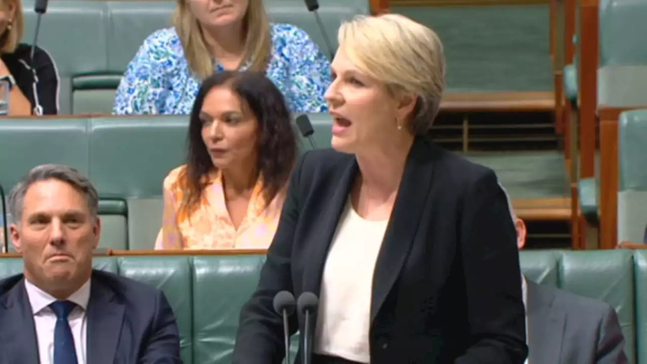 Plibersek delivers fiery attack on Greens over 'lining up with Liberals'