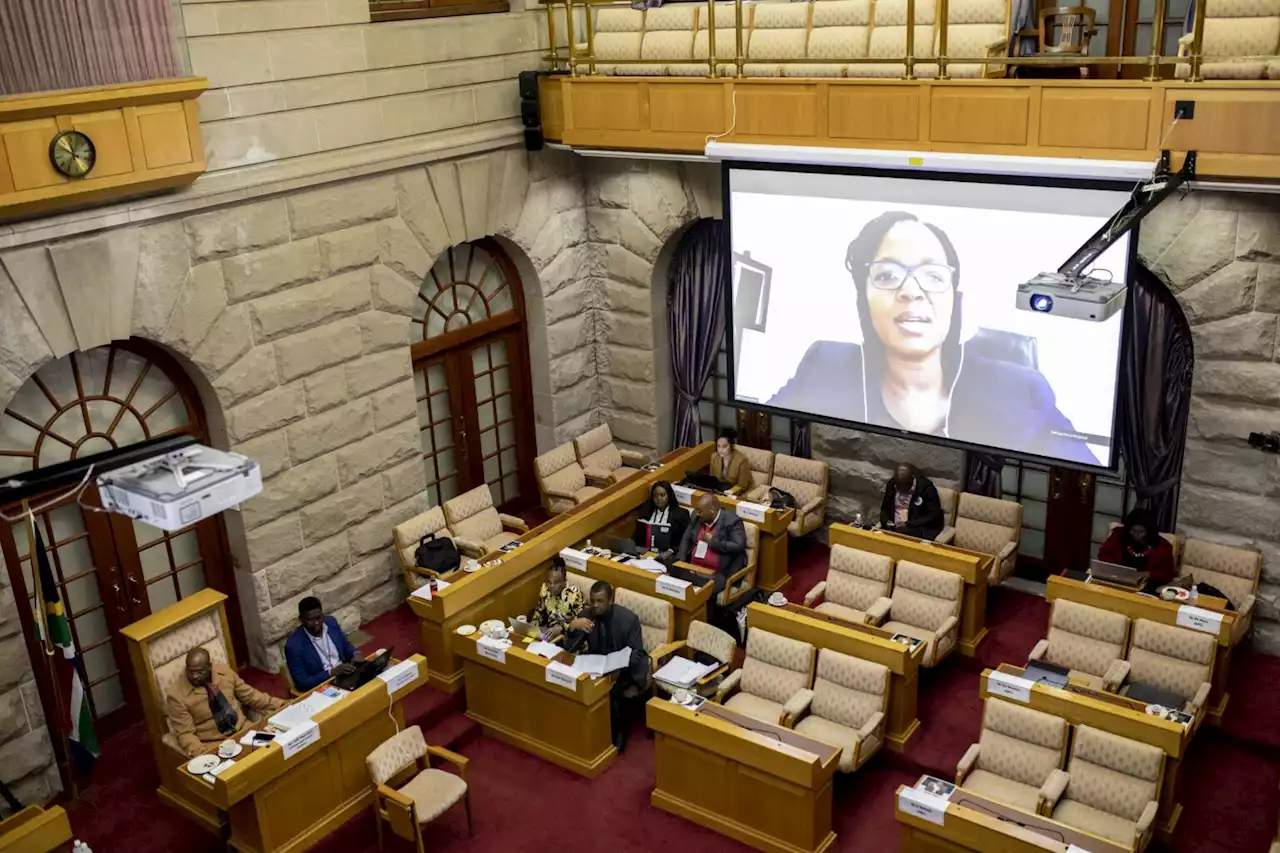 Mkhwebane inquiry: Mpofu's refusal to question witness delays testimony indefinitely | The Citizen