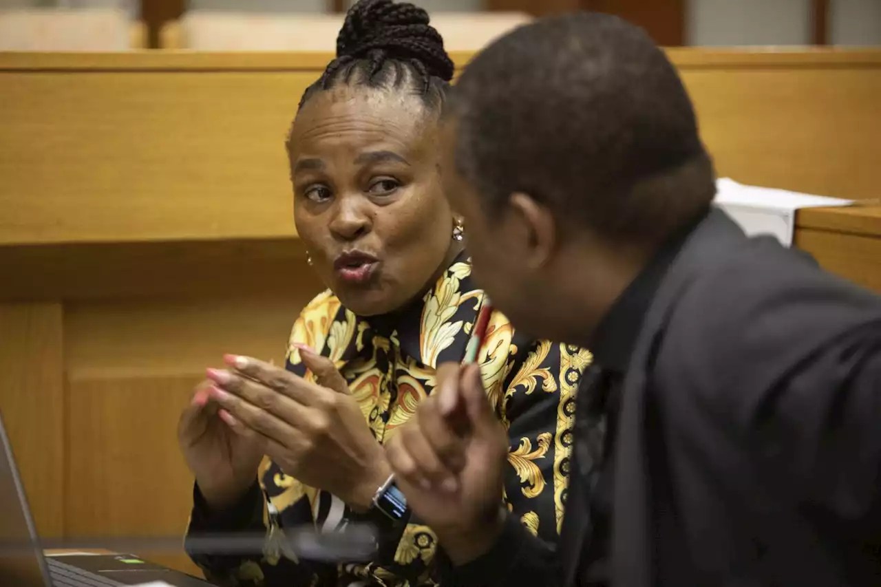 'We cannot just shelve it': Section 194 chair accused of 'insulting' Mkhwebane, Mpofu | The Citizen