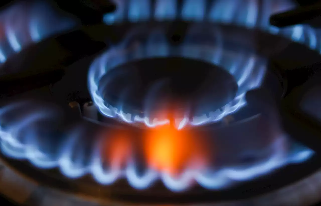 Six appliances that are the biggest drain on energy bills - how to save £1,016