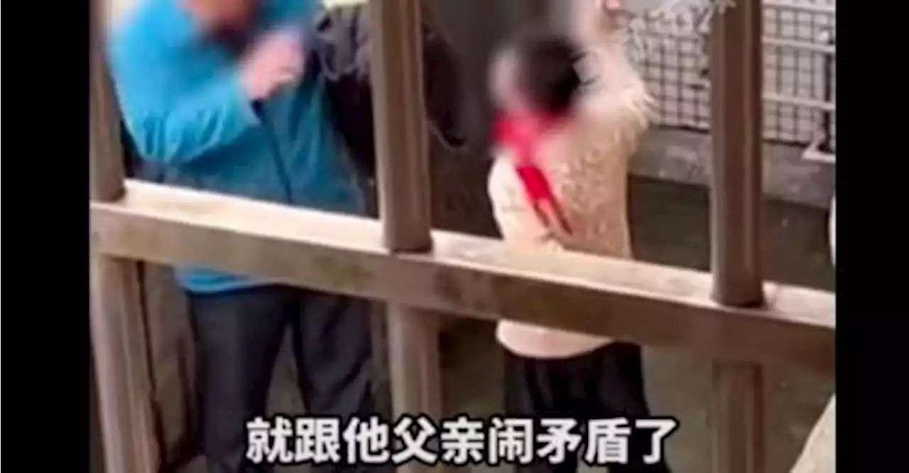 Young boy brandishes meat cleaver at father over confiscated mobile phone