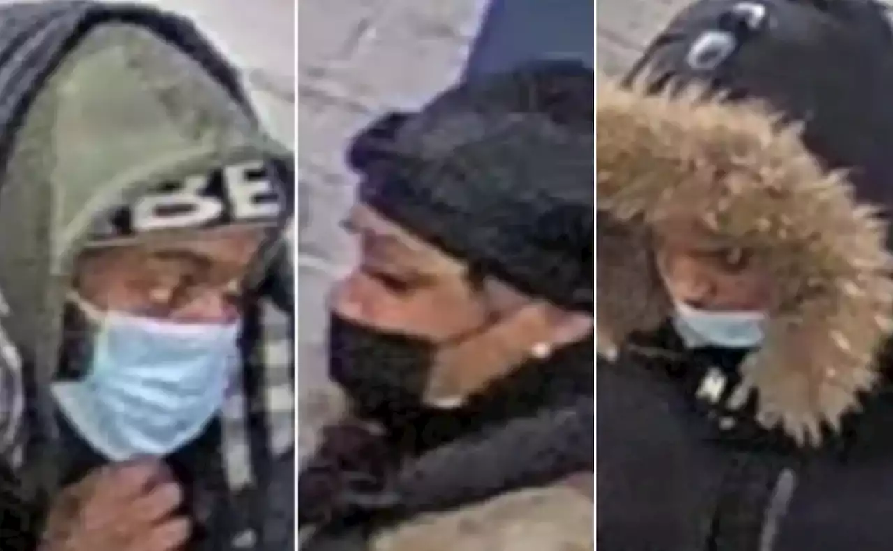 OPP release new suspect images in kidnapping of Elnaz Hajtamiri from Wasaga a year ago