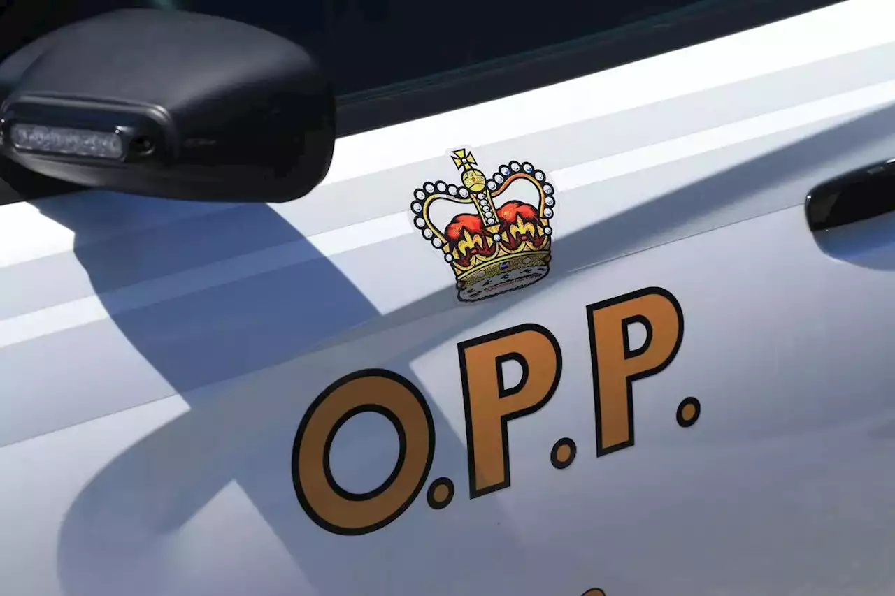 OPP seize 3D printed guns from driver in Mississauga