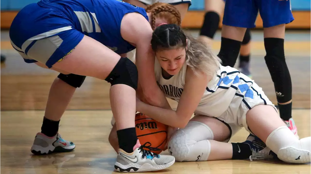 Photos: Pueblo defeats Paradise Honors in 4A girl's basketball playoff game