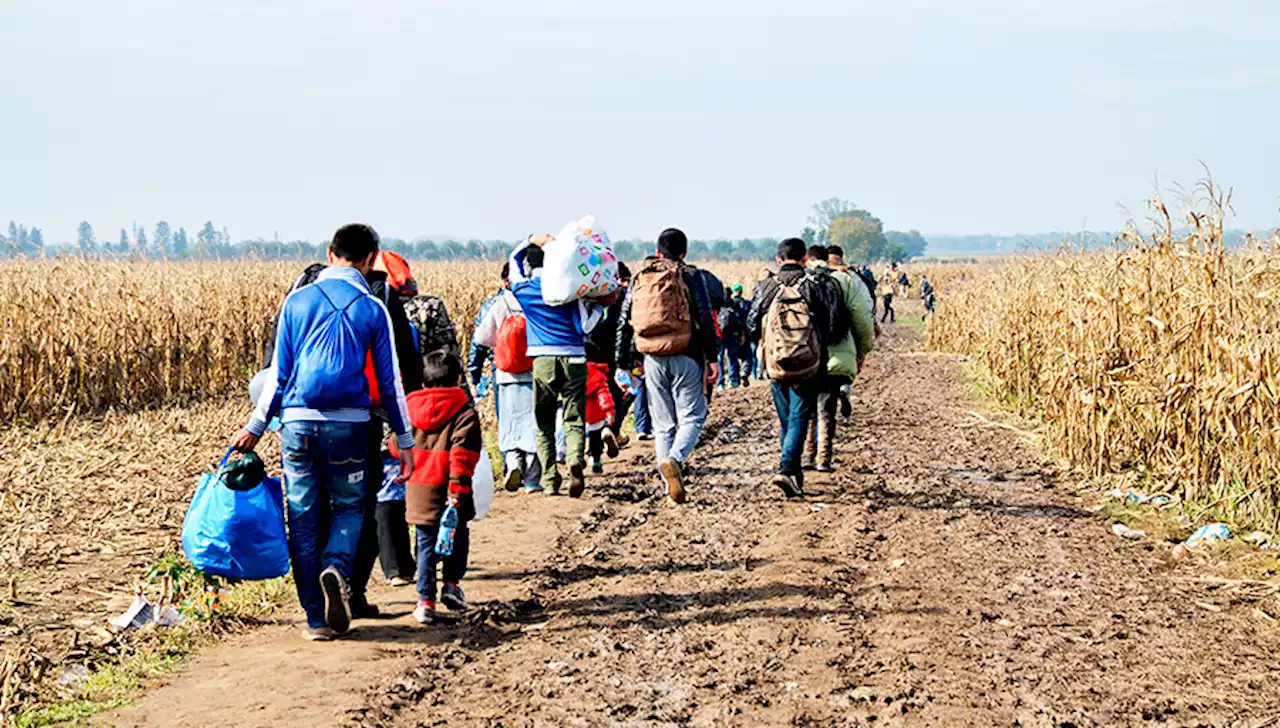 Expertos en ciencias sociales de América analizan temas de trabajo social y migración