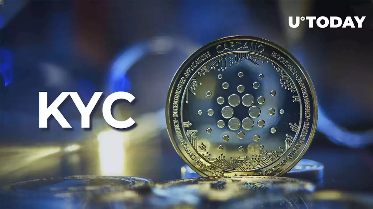 Cardano's Network: Pros and Cons of KYC Implementation