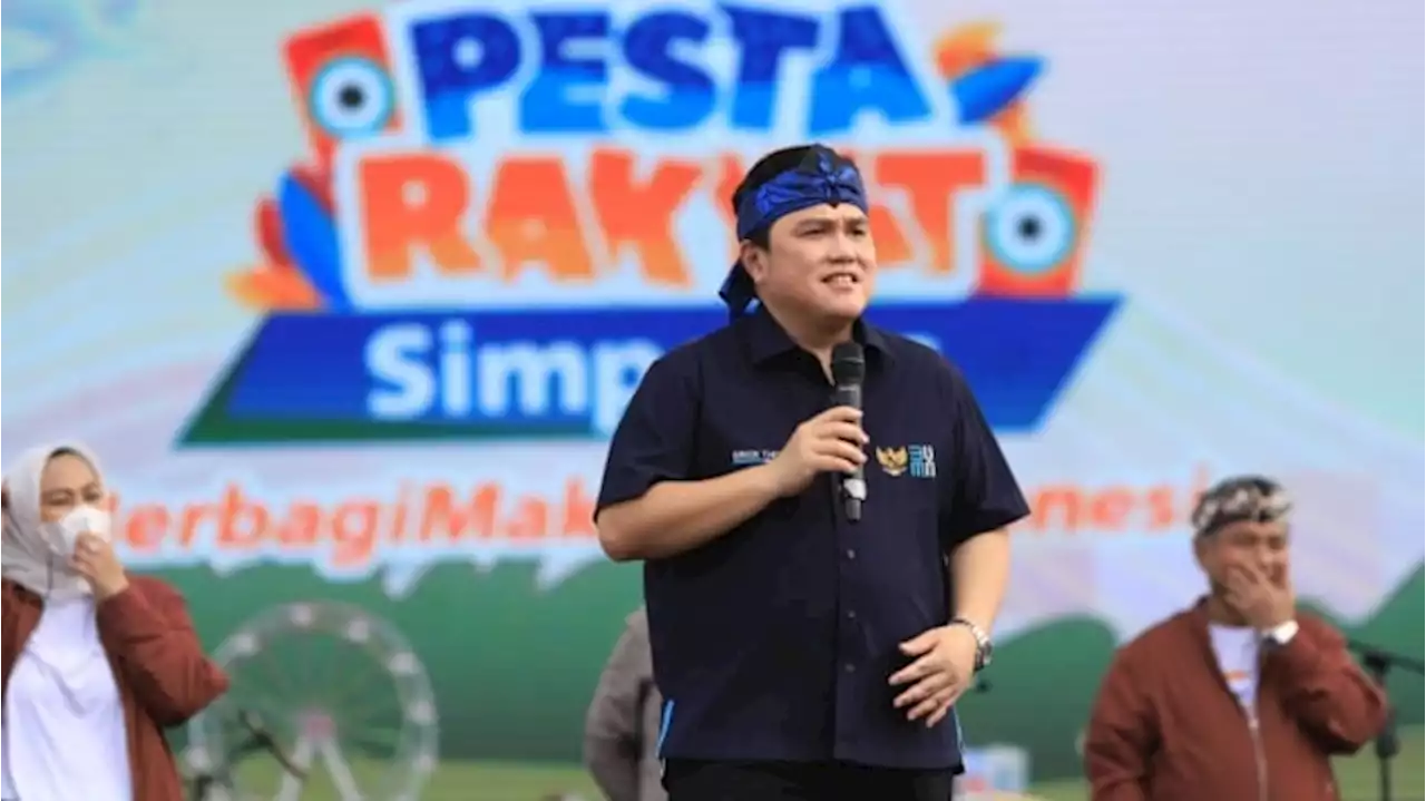 Calon Ketua Umum PSSI, Ini Profil Erick Thohir