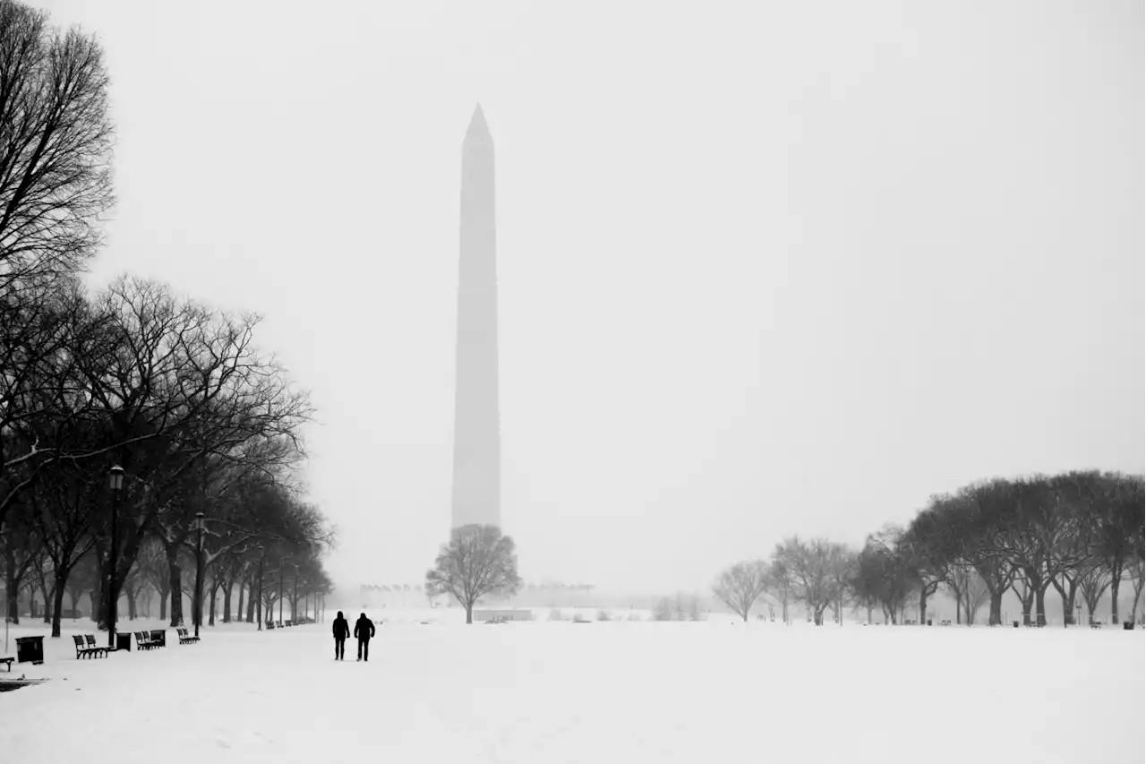 This Might Be One of the DC Area’s Top Five Warmest Winters - Washingtonian