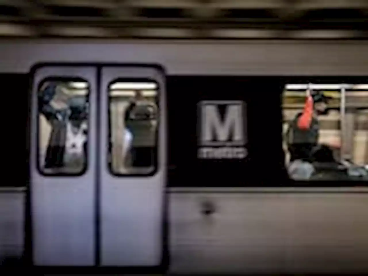 Man fatally dragged by Metro train after dog leash is caught in doors